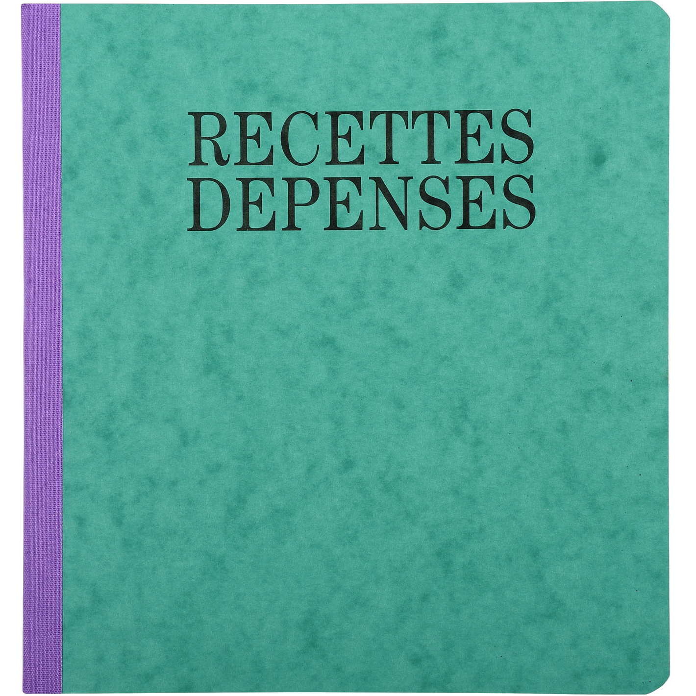 Recettes et Dépenses