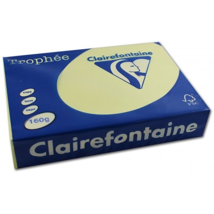 Clairalfa Clairefontaine Paquet de 250 feuilles de papier blanc 160g de  format A4 CLAIRALFA - prix pas cher chez iOBURO- prix pa