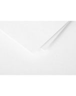 Photo POLLEN : Carte de papier Blanc - Format 70 x 95 mm 11216C