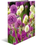 Classeur à 2 anneaux - Dos de 70 mm - A4 HERMA Sport VTT