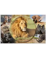 Sous-main de bureau - 550 x 350 mm HERMA Animaux Chats Recto