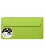 Photo Enveloppes - Format DL 110 x 220 mm - Vert menthe POLLEN