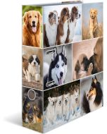 Classeur à levier - Chiens - Dos de 70 mm : HERMA Animaux Image