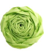 Papier Crépon - Vert pomme : CLAIREFONTAINE photo