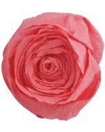 Papier Crépon - Rose saumon : CLAIREFONTAINE Photo