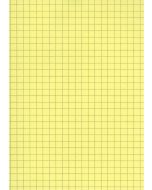 Fiches Bristol - 75 x 125 mm - Jaune quadrillé ELVE B7513J jaune
