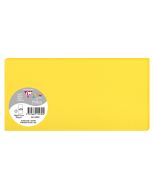 Photo POLLEN Carte DL Jaune soleil 106 x 213 mm 1523C Clairefontaine