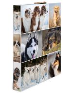 Classeur à 2 anneaux - Dos de 35 mm - Chiens HERMA