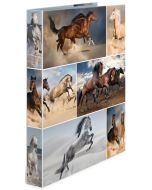 Classeur à 2 anneaux - Dos de 35 mm - Chevaux HERMA