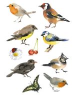 Photo HERMA : Lot de 30 stickers en papier - Oiseaux aquarelle - 3351