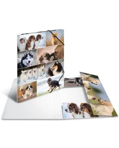 Chemise à rabats A3 - Motifs Chiens HERMA