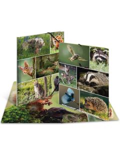 Chemise à élastiques A4 - Motif Animaux de la forêt : HERMA image