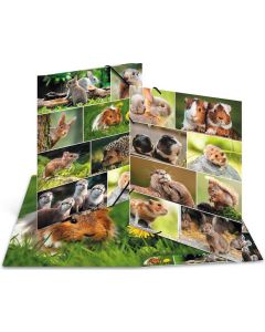 Chemise à élastiques en carton - A3 HERMA Animaux Rongeurs