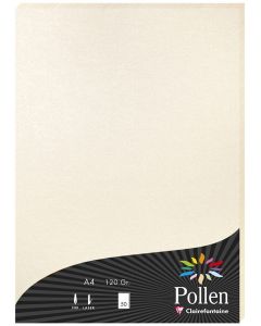 Feuilles de couleur A4 - 210 x 297 mm - Ivoire irisé POLLEN Lot de 25