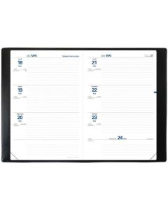 Recharge pour Agenda 2025/2026 - TEXTHEBDO - 160 x 240 mm : QUO VADIS Club