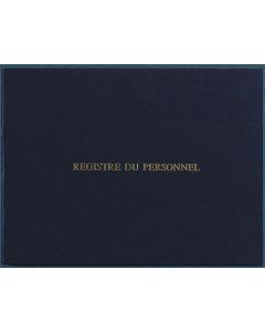 LE DAUPHIN Registre unique du personnel et Stagiaires 311D