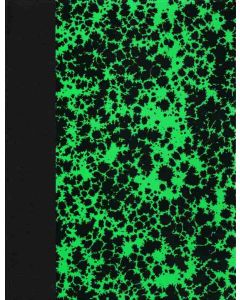 6241 ELVE  Registre  Journal 200 pages - 360 x 230 mm