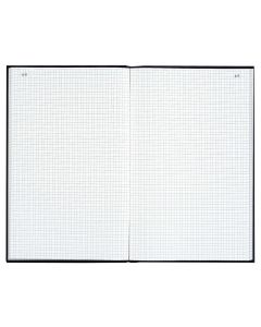 LE DAUPHIN : Registre  600 pages quadrillées avec foliotage - 340 x 225 mm 7569D