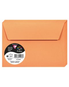 Photo Enveloppe POLLEN Clémentine Format  114 x 162 mm 5496C