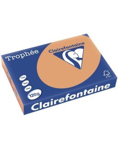 Ramette de papier de 250 feuilles A4 120g - Caramel : CLAIREFONTAINE Trophée Image