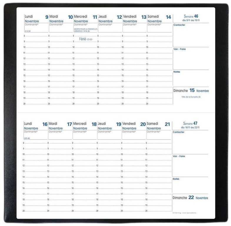 Agenda de poche 2021 BiPlanning 88 x 170 mm QUO VADIS EStatuts